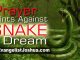 prayer points against dream about green snakes and yellow snakes