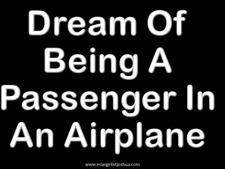 Dream Of Being A Passenger In An Airplane