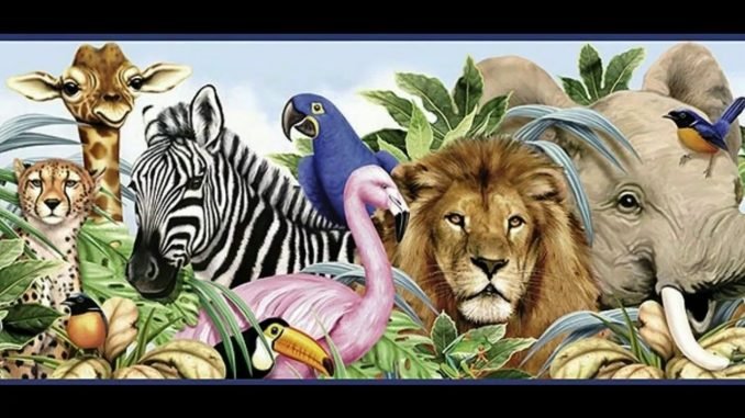 strang animal