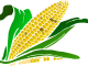 A Man Bought Corn For Me In The Dream