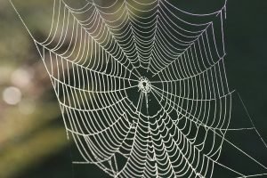 Prayers Against Household Cobwebs