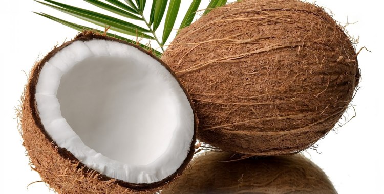 Dream About Coconut