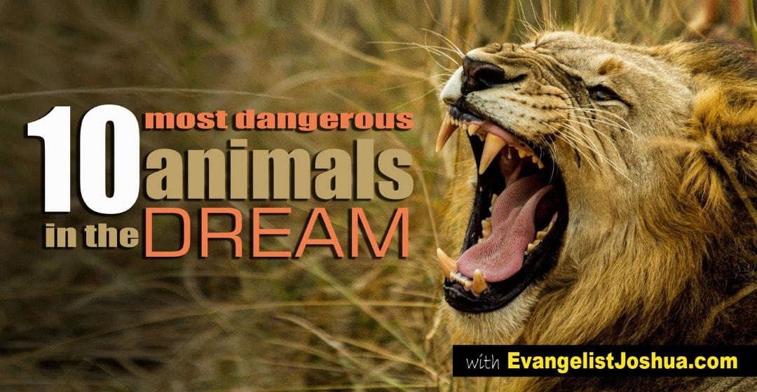 10 MOST DANGEROUS ANIMALS IN THE DREAM 