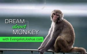 Spiritual Meaning of Monkey Dream