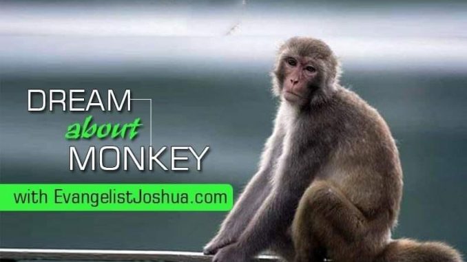 Spiritual Meaning of Monkey Dream