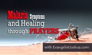 Malaria Symptoms and Treatment