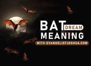 Spiritual Meaning Of Bats In Dreams