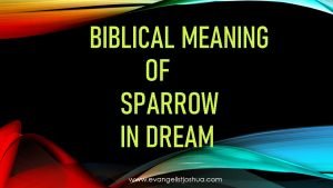 Biblical Meaning Of Sparrow In Dream