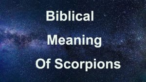 Biblical Meaning Of Scorpions