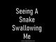Seeing A Snake Swallowing Me