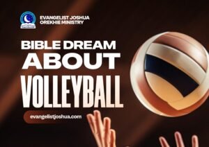 Volleyball Meaning In The Dream