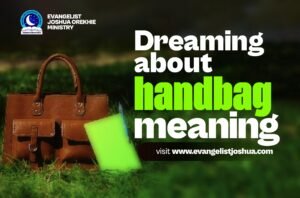 Dreaming About Handbag Meaning.