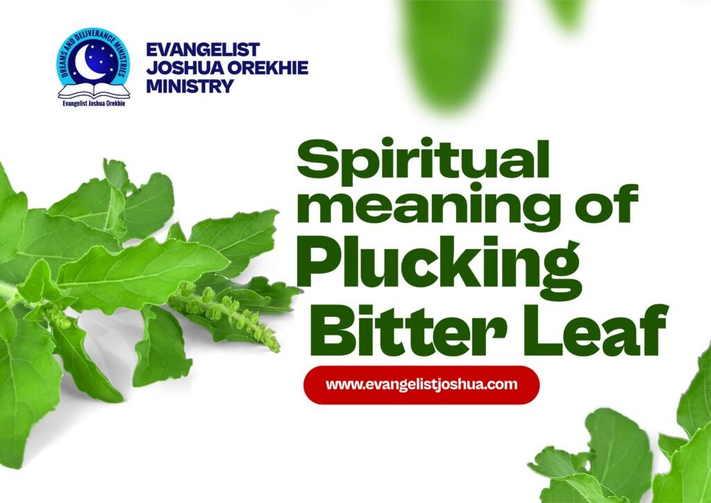 Spiritual Meaning Of Plucking Bitter Leaf