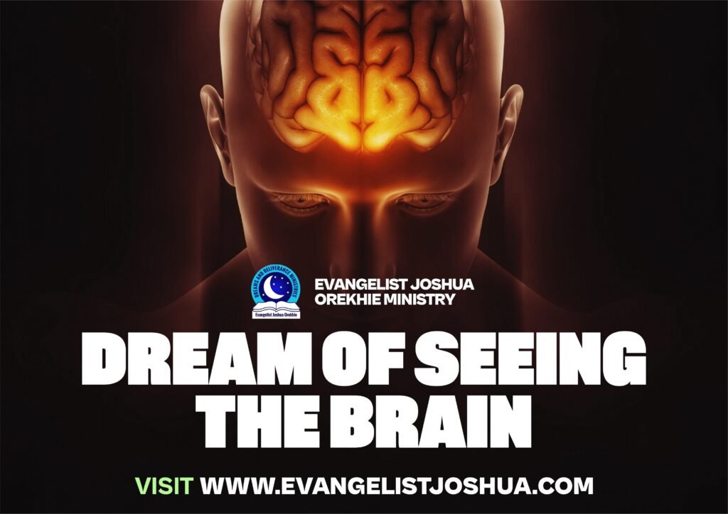 Seeing Brain In The Dream