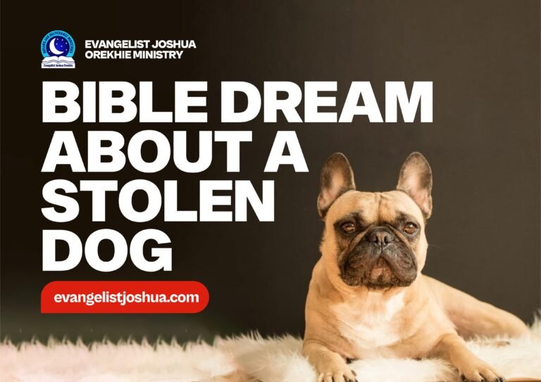 Dream Of Stolen Dog