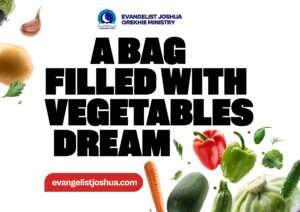 Seeing Bag Filled With Vegetables In The Dream