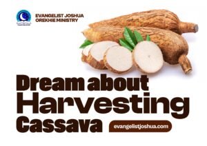 cassava dream meaning