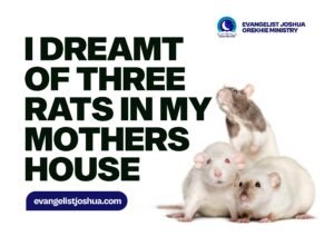 dreams about rats in my house