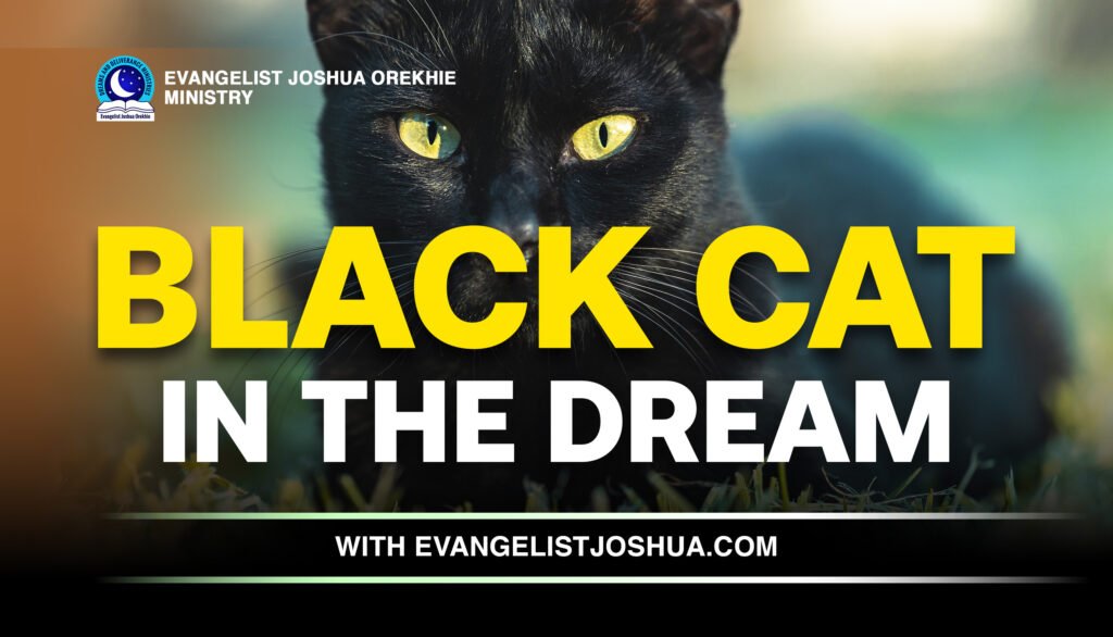 Spiritual Meaning Of Black Cats in the Dream