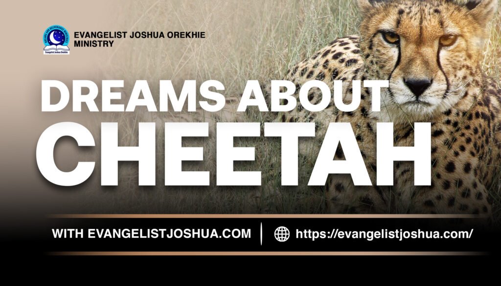 Spiritual Dream Meaning Of Cheetah