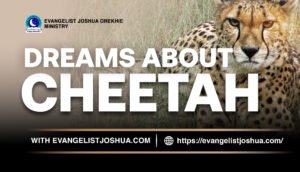 Spiritual Dream Meaning Of Cheetah