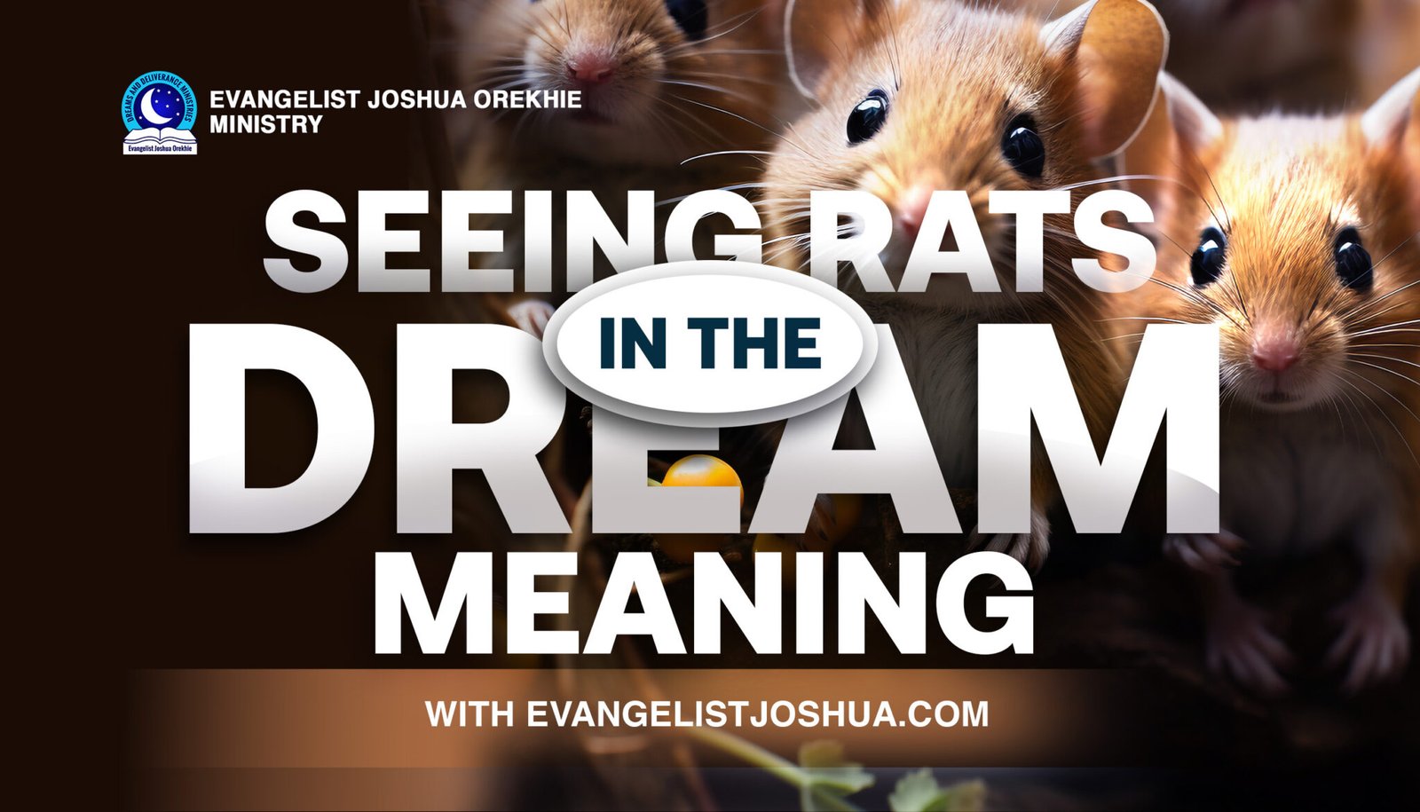 Dreams and Interpretations - Evangelist Joshua Ministries