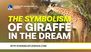 Seeing Giraffe In The Dream.