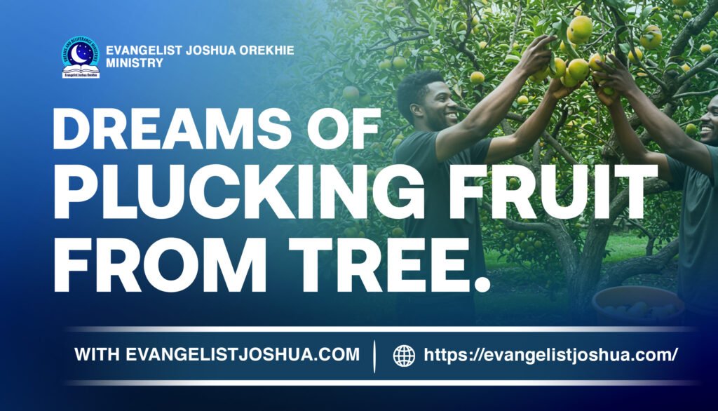 Meaning Of Dreams About Plucking Fruits from Tree.