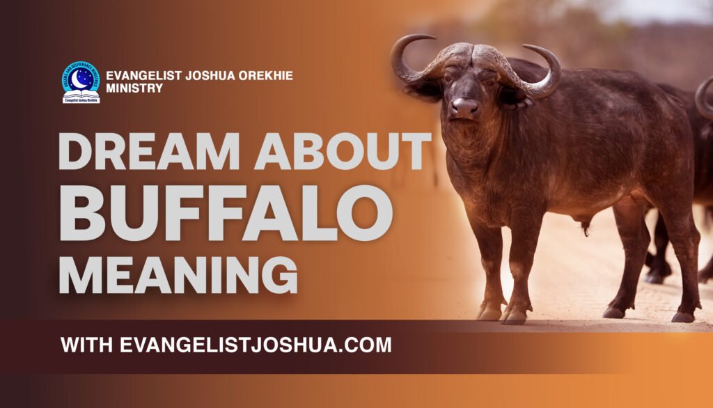 Dream Meaning Of Buffalo
