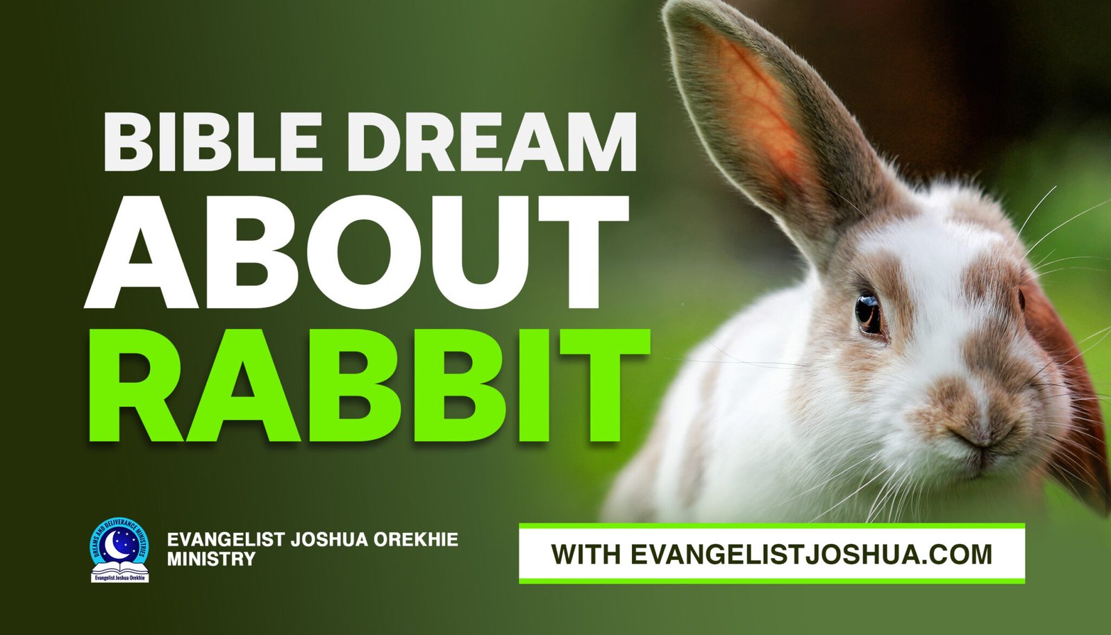 Dreams and Interpretations - Evangelist Joshua Ministries