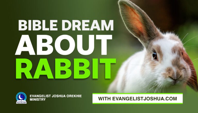 Spiritual Dream Meaning Of Rabbit