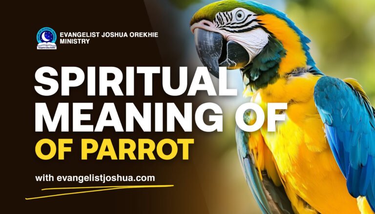 Biblical Meaning Of Parrot