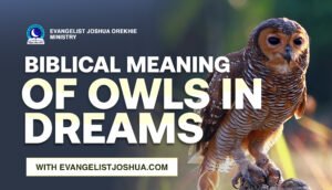 Seeing Owls In The Dream