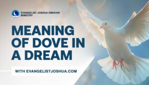 Meaning Of Seeing Dove In The Dream