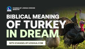 Meaning Of Turkey In Dream