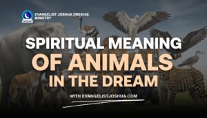 Biblical Meaning Of Animals In The Dream