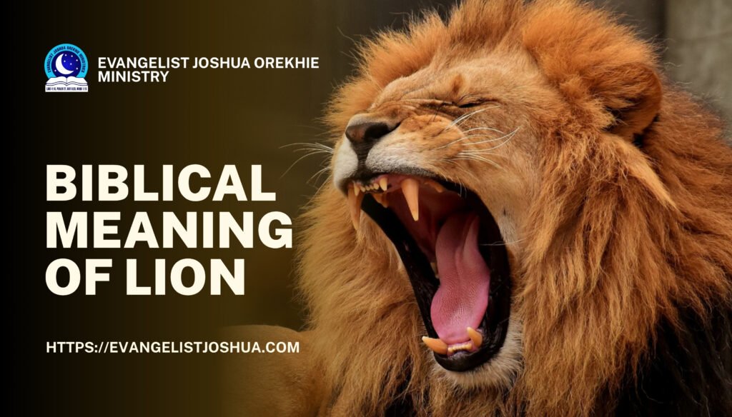 Biblical Interpretation Of Lion