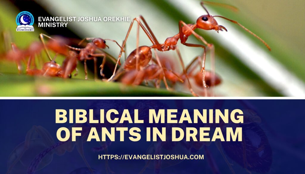 Spiritual Dream Meaning Of Ants