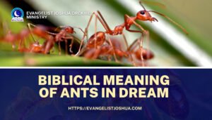 Spiritual Dream Meaning Of Ants