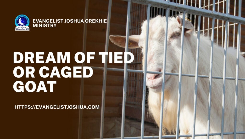 Dream About Tied Goat