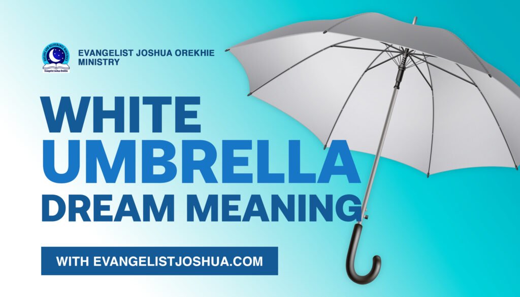 White Umbrella Dream Meaning