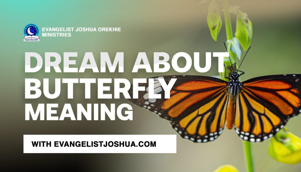 Dream About Holding Butterfly