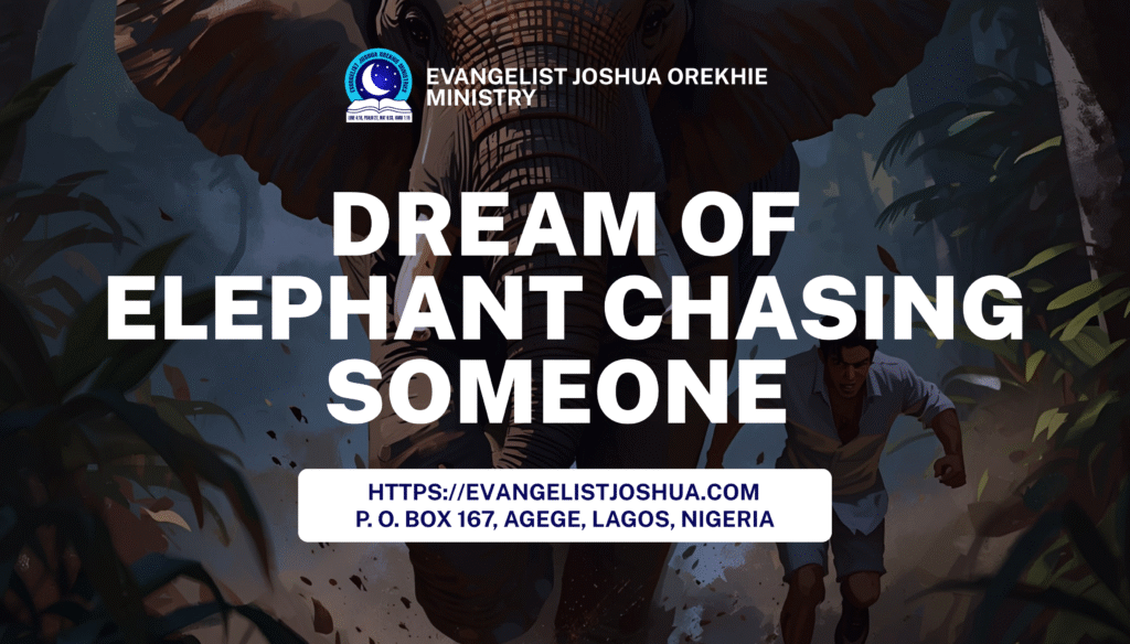 Dream Of Elephant Chasing Someone