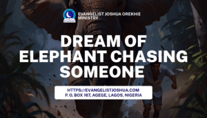 Dream Of Elephant Chasing Someone