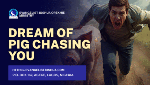 Dream Of Pig Chasing You