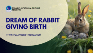 Dream Meaning Of Rabbit Giving Birth