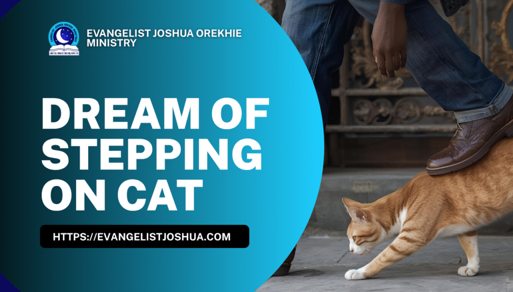 Dream Meaning Of Stepping On Cat