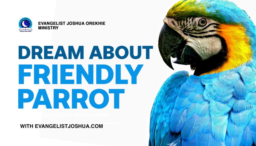 Dream About Friendly Parrot