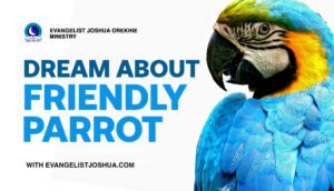 Dream About Friendly Parrot