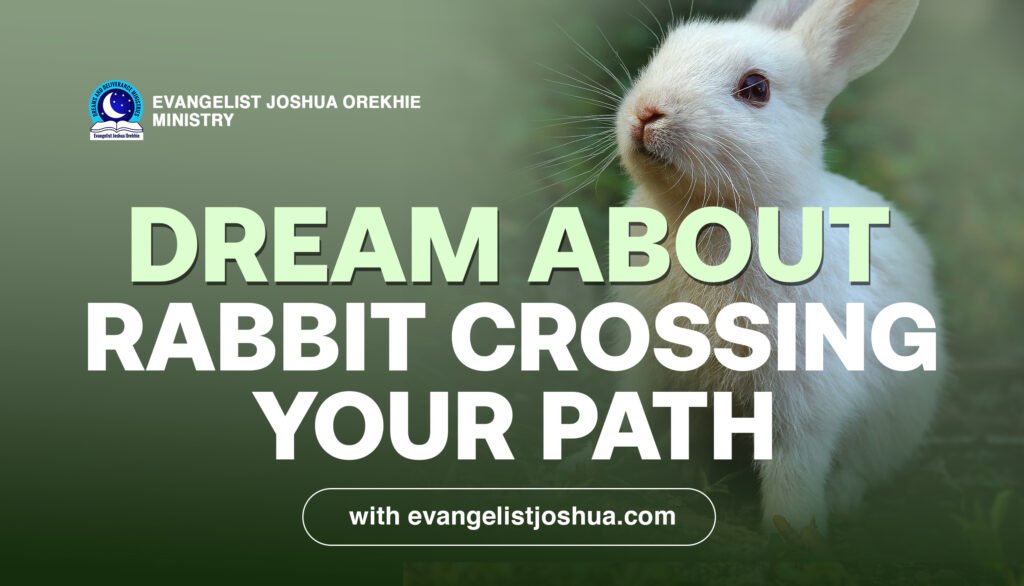 Dream About Rabit Crossing Your Path